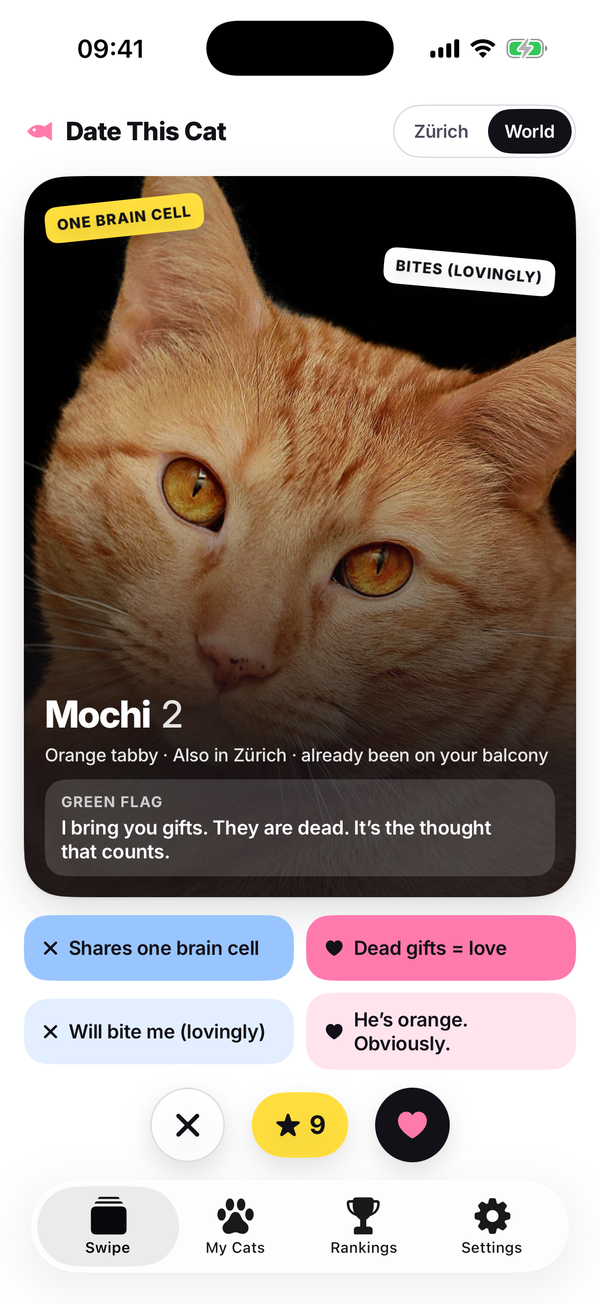 The swipe deck: Mochi, an orange tabby, with four reason buttons under the card and the no, Super Meow and yes buttons.