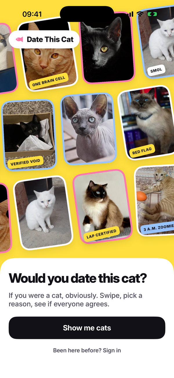 The app’s first screen: a yellow wall of tilted cat photos with stickers, above “Would you date this cat?” and a Show me cats button.