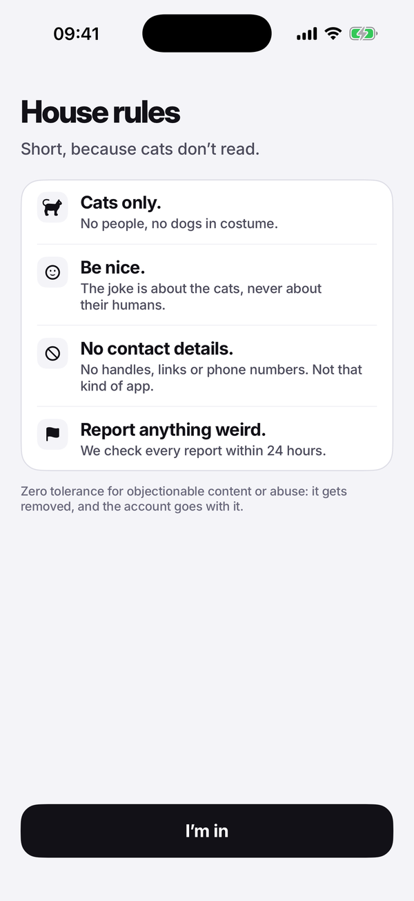 The house rules screen: Cats only. Be nice. No contact details. Report anything weird.