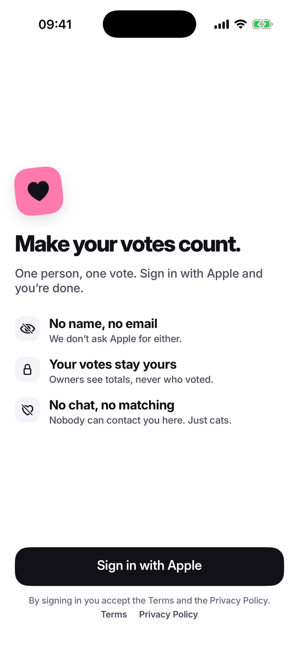 The sign-in screen, “Make your votes count.”, with three promises: no name, no email; your votes stay yours; no chat, no matching. Below, a Sign in with Apple button.
